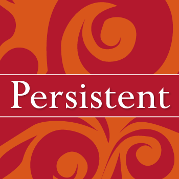 Persistent+Pro